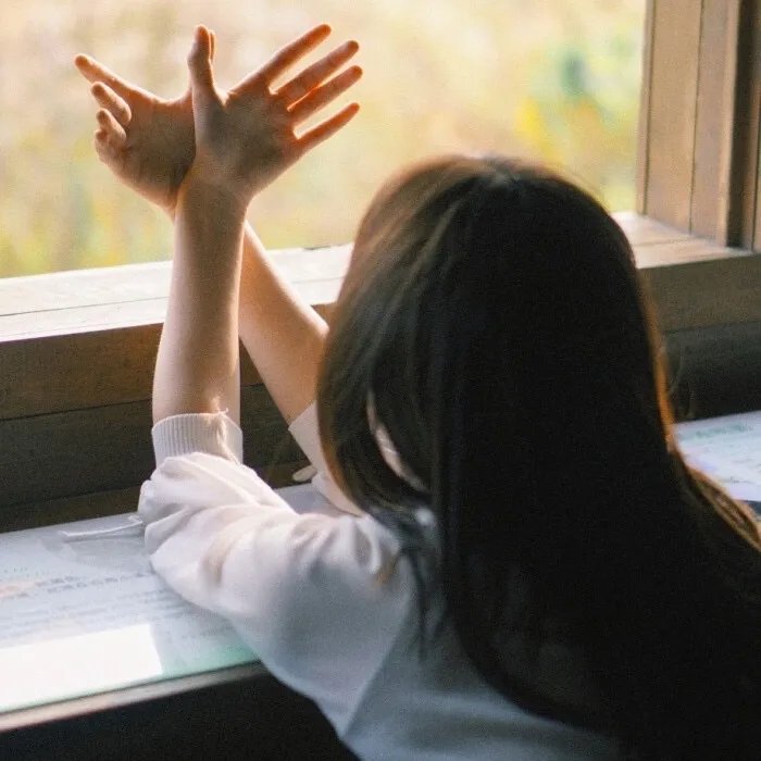 骷髅岛夺宝历险记